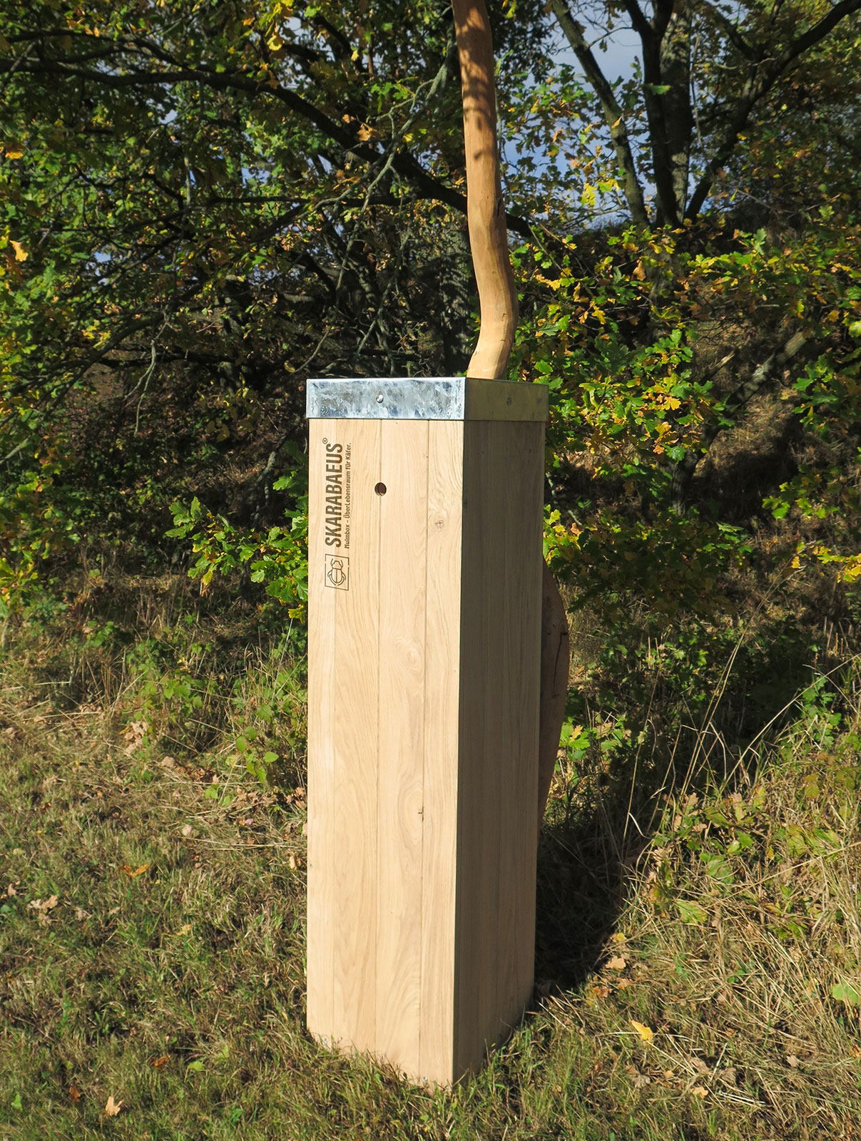Mulmbox Skarabaeus® Mulmbox Skarabaeus